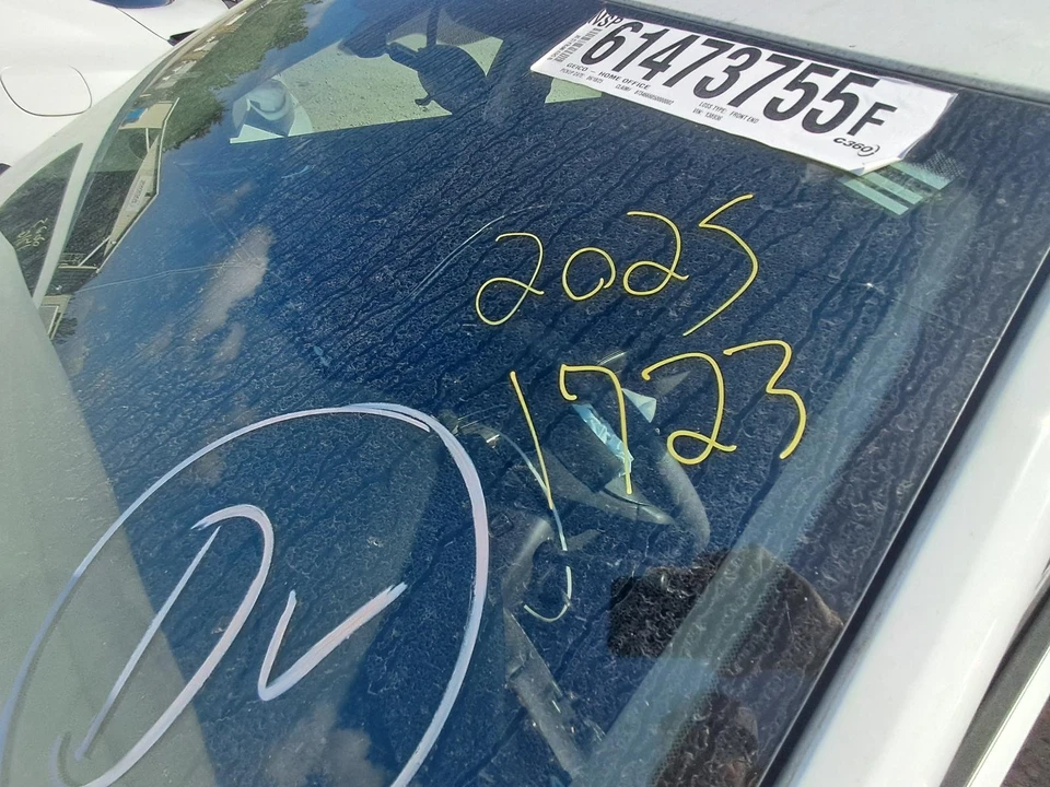 Used Rear Left Door Assembly Rear Side fits: 2010 Chevrolet Impala w/o alignment Foto 3 de 4