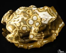 5.0" Ocean Jasper Hand Carved Crystal Frog Sculpture, Crystal Healing