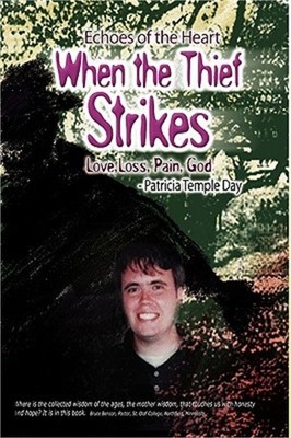 When the Thief Strikes (Hardback or Cased Book)