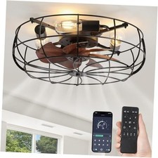 20" Caged Ceiling Fans with Lights and Remote, Flush Mount 20 Inch Black