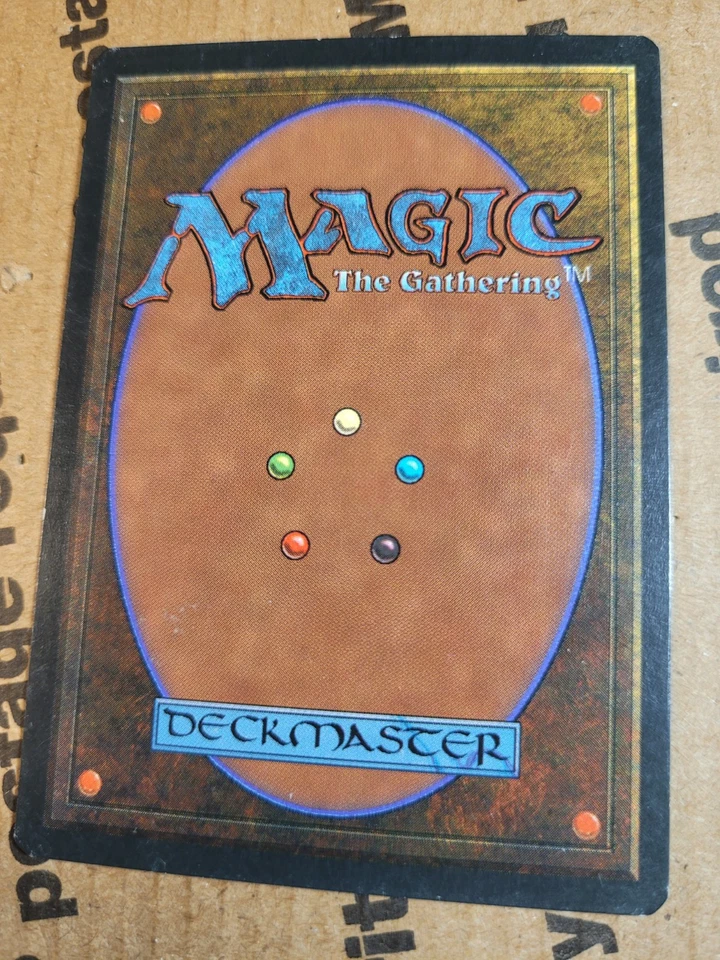 MTG - Elvish Hunter * Signed by artist Susan Van Camp * LP Fallen Empires 1994 - Image 3 of 3