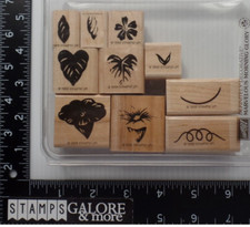 Stampin' Up Rubber Stamps 1999 MARVELOUS MORNING GLORY TWO STEP FLOWERS