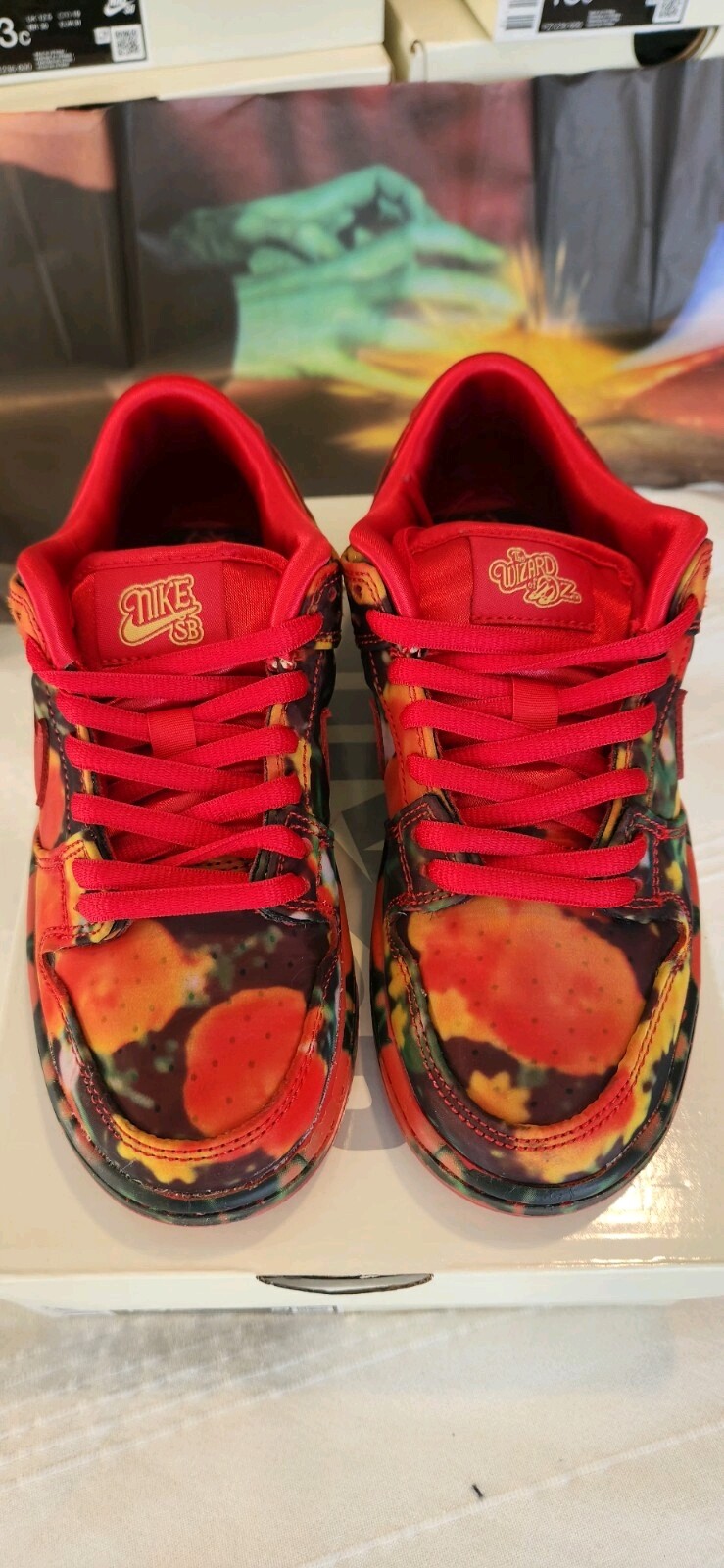 The Wizard of Oz x Nike SB Dunk Low QS Poppy Field | Size 12 | FZ1291-600