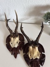 2x  Geweih Troph&auml;e Geweihschmuck auf geschnitztem Holzschild Wandmontage