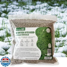 Groundio Winter Rye Seeds, 3lbs Non-GMO Cover Crop Seeds, Annual Secale Cerea