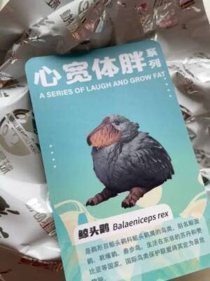 Animal Planet Animal Heavenly Body Statue Special Ver. 6Pcs Birds