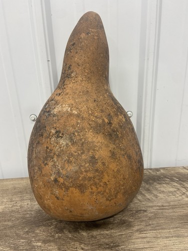 Huge Pear Shape 8" Wide 14" Tall 27.5" Diameter Dried Gourd For Craft Beautiful