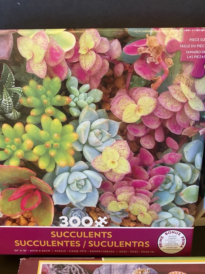Lot 3 Complete 300 pc Puzzles Seashells, Ravensburger Calm Campsite, Succulents - Image 4 of 4