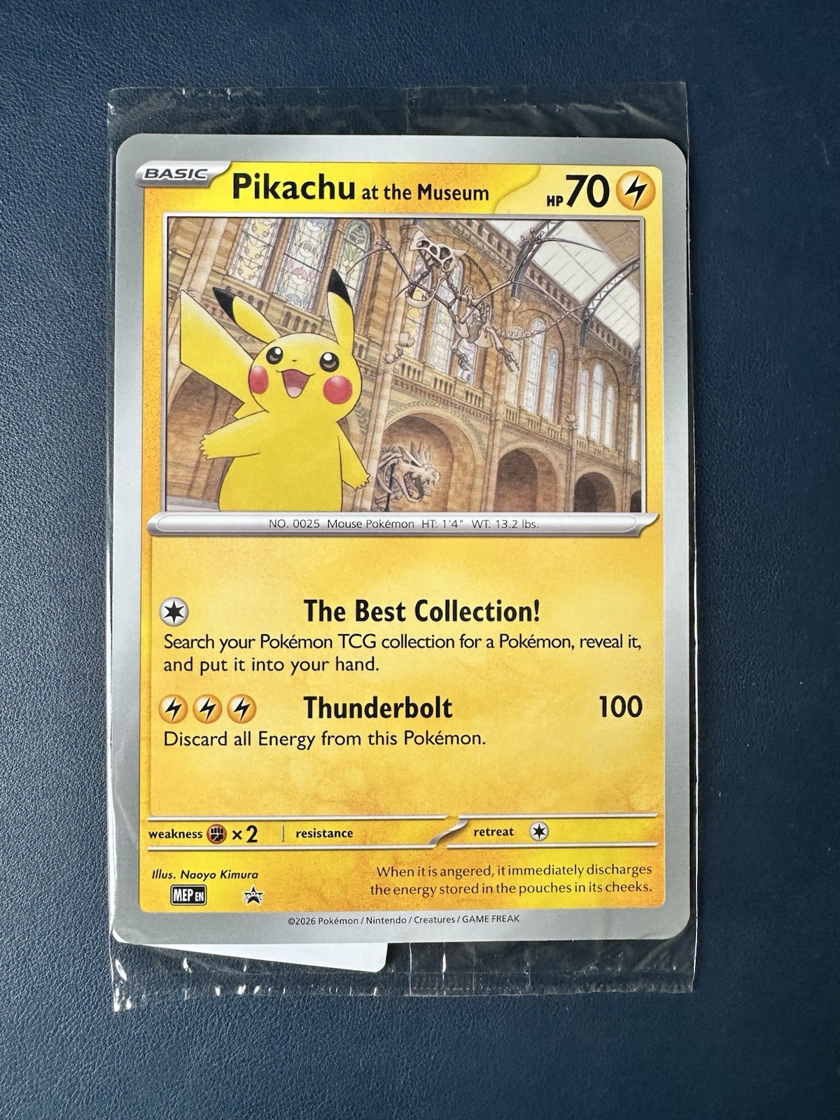 Pokemon - Pikachu Night At The Museum Jumbo Promo Card - Brand New and Sealed