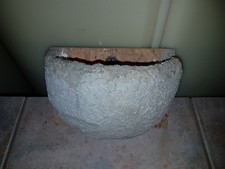 Schwalbennest Nisthilfe Rauchschwalbe Holzbeton stabil, gipsgeglättet