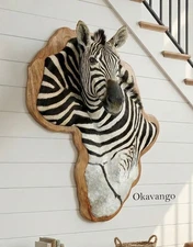 NEW!!!!! AFRICAN TAXIDERMY BURCHELL ZEBRA SKIN HIDE SHOULDER MOUNT ON WOOD FRAME