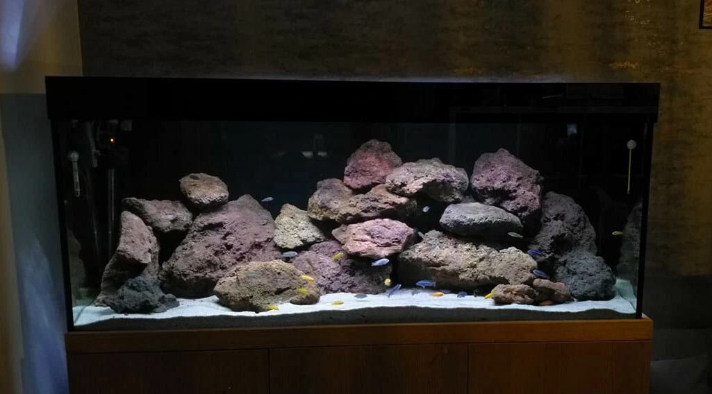 Diy lava rock aquarium cheap decorations