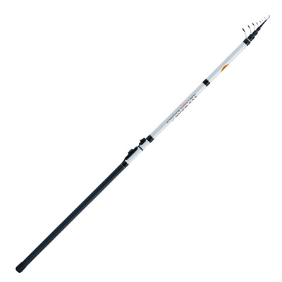 WFT Bologneserute XK-Bone Puro Carbo Bolo 400 500 600 700