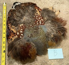 Rooster RINGNECK PHEASANT Skin FLY TYING Material Crafts Jewelry Salmon Streamer