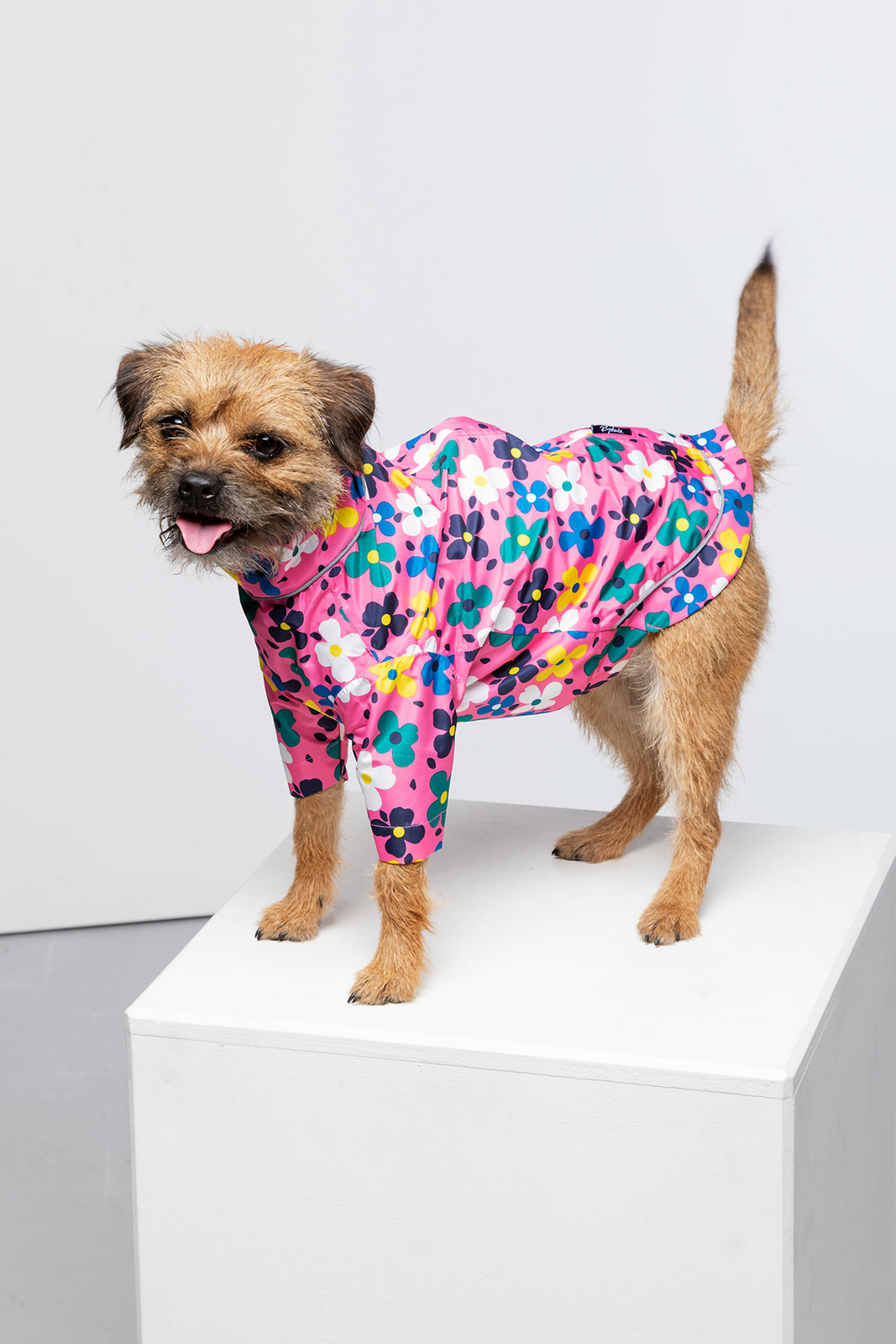 Rydale Dog Raincoat Dogs Rain Coat Waterproof Jacket Clothes Pet Puppy