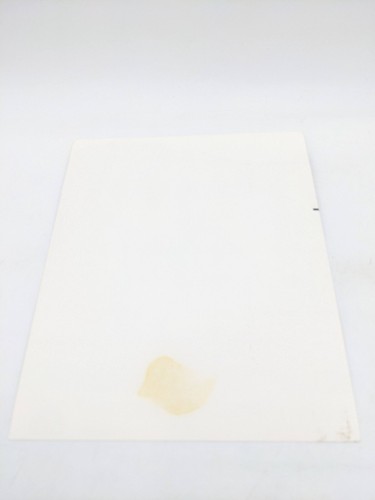 RAR Dayton Ka'ne Kane Schauspieler "Hurricane" 1979 handsigniertes 8x10 Foto - Bild 5 von 5