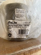 ProLine 101-008NL Swing Check Valve