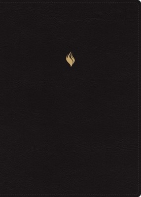 Rvr 1960- Reina Rvr60, Biblia de Estudio de la Vida  (Leather Bound) (US IMPORT)