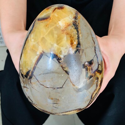 6.71LB Natural Dragon Septarian Geodetic Survey Quartz Crystal Egg Healing3050g