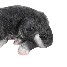 Statues De Chiots Sculptures En Résine Synthétique Statue De Border Collie