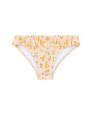 Minnow Bikini Bottom