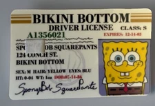 Spongebob Driver License Credit Debit Card Sticker Skin Small Chip Decal