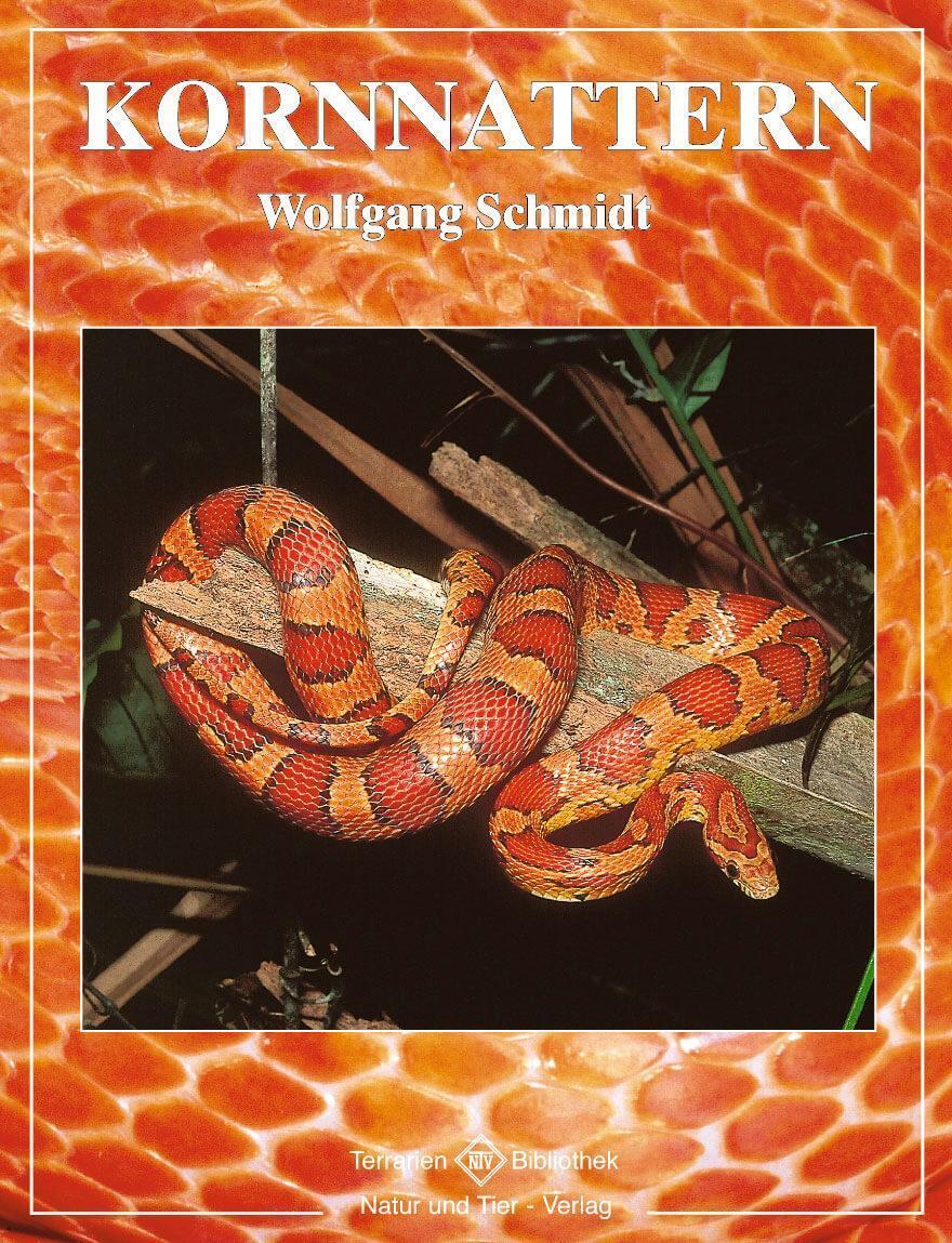 Thumbnail - Kornnattern Wolfgang Schmidt