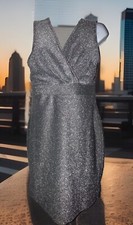 Silver Shimmer Short NEW sleeveless Cocktail Holiday Dress Retail $89.99 Size L