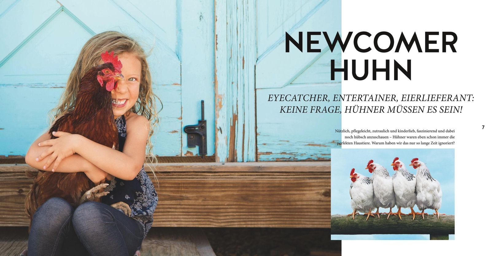 Thumbnail - Hühner Basics Esther Schmidt