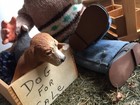 Foto 12 di 12