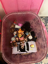 L.O.L. Surprise! Articulated Fashion Doll Mixed Lot w/ Accessories & Containers