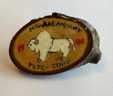 Mt. Allamuchy 1980 TLTC Staff Neckerchief Slide Boy Scouts of America