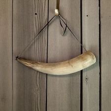 Vintage Bull Steer Blowing Horn Cow Western Decor 19” Rustic Cabin Lodge