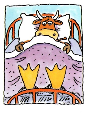 Get Well Soon Wishes Brown Mow Cow In Bed On Your Own Two Feet Greeting Card