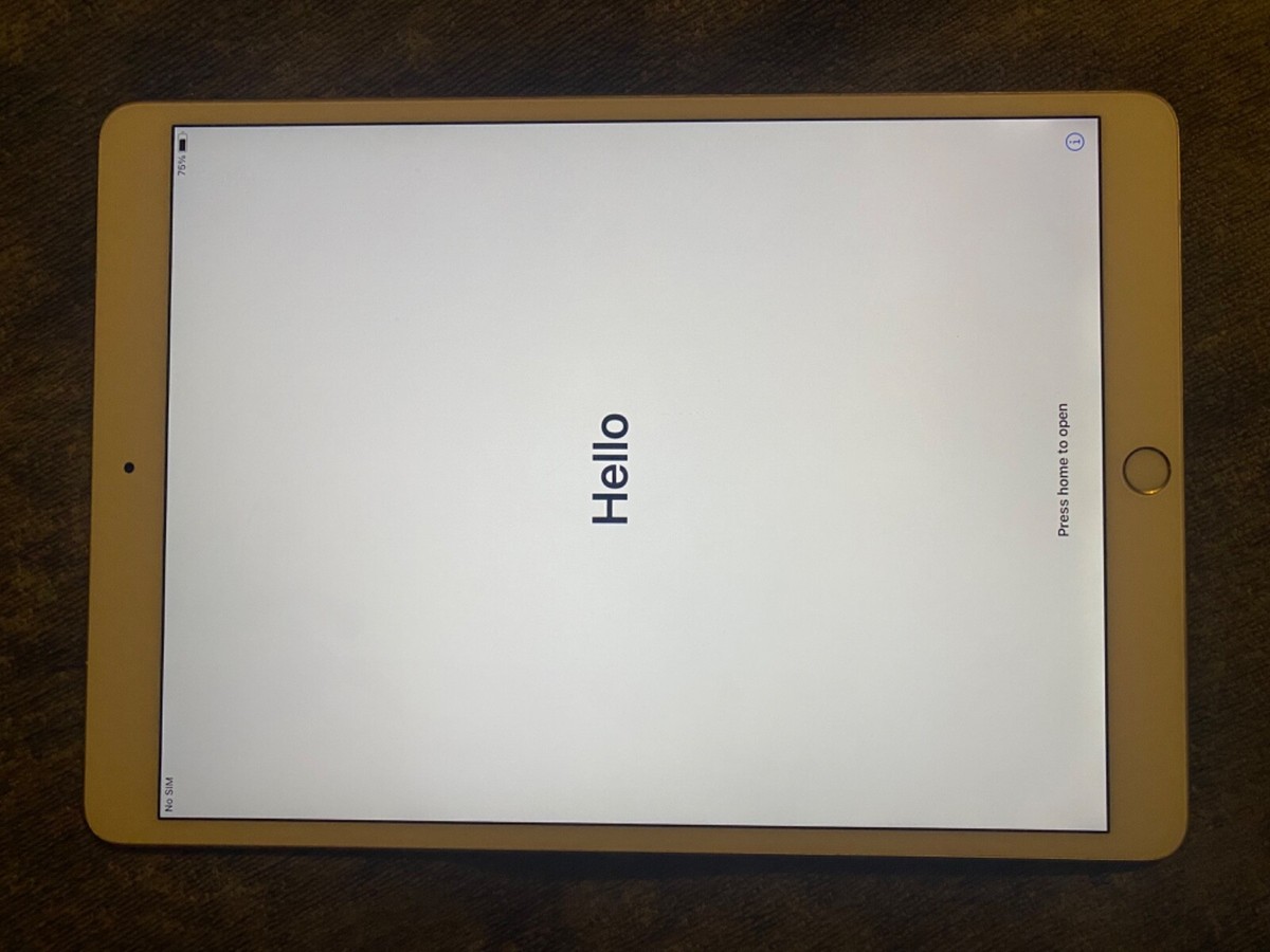 Buy Apple iPad Pro 1st Gen. 64GB, Wi-Fi, 10.5 in - Rose Gold