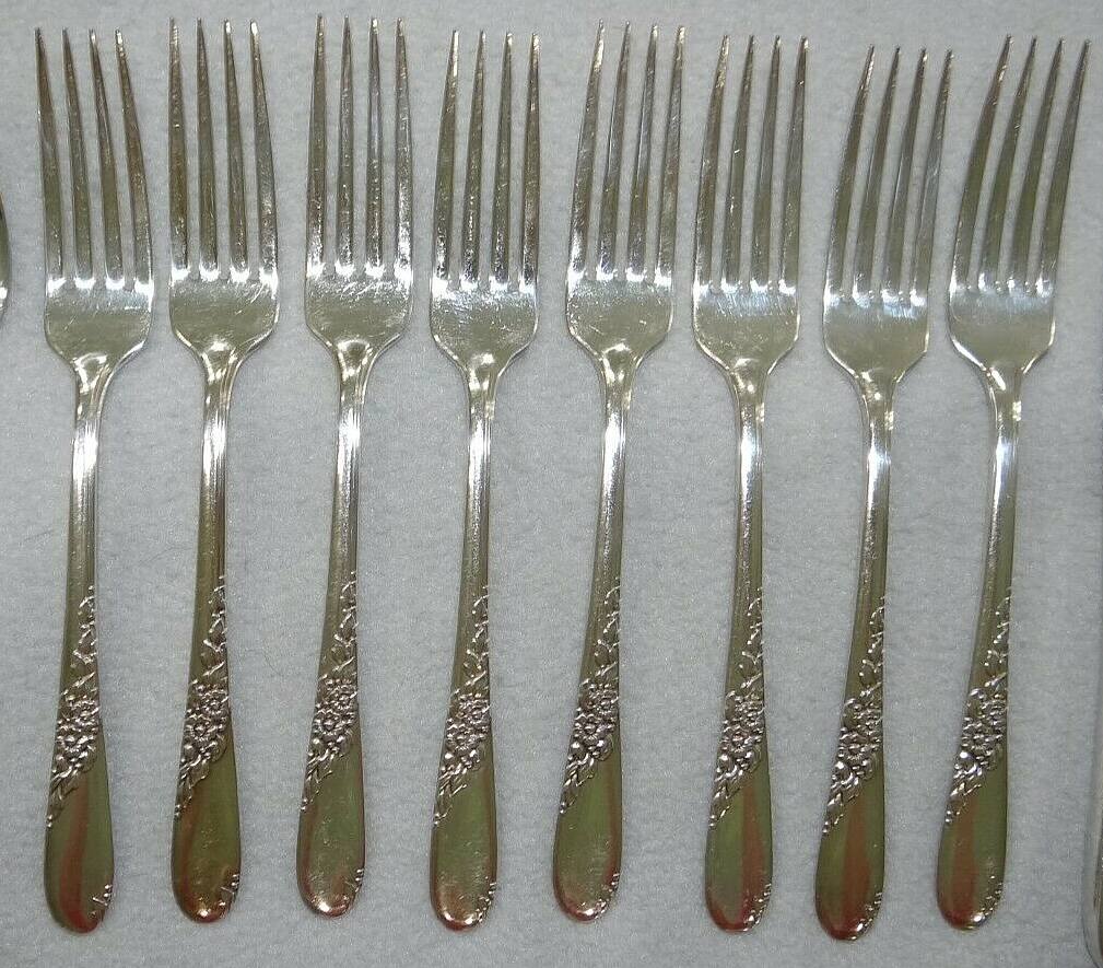 Wm Rogers Oneida ENDEARABLE Silverplate Service for 8 Flatware 50 Pc