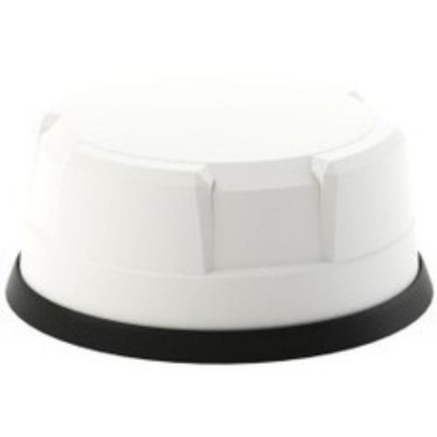Panorama Antennas LP-IN2443 Antenna LPIN2443W