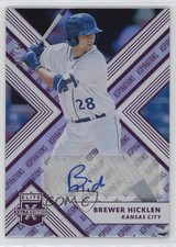 2018 Panini Elite Extra Edition Aspirations Purple 15/50 Brewer Hicklen Auto s3g