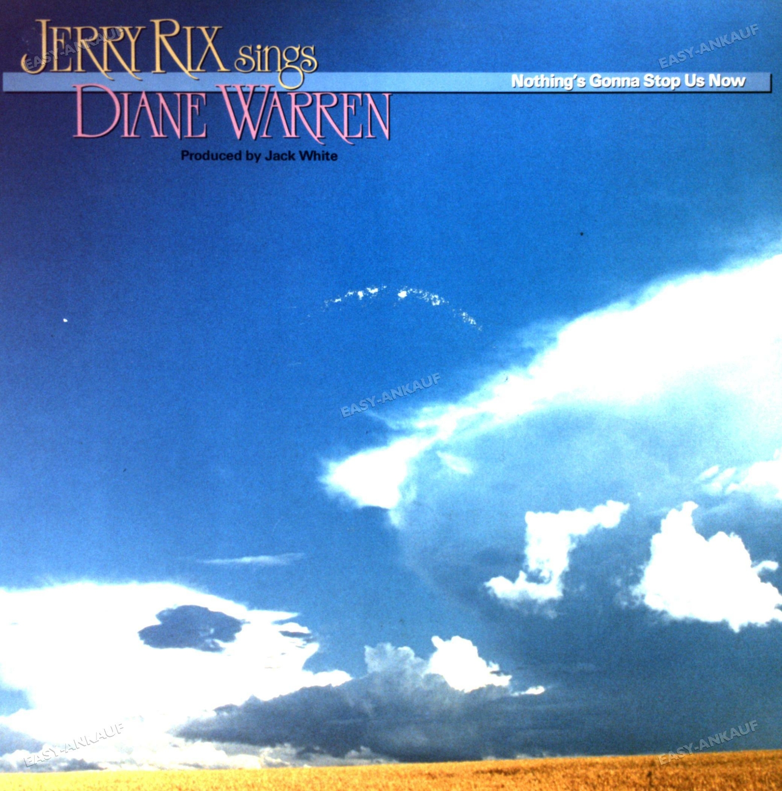 Diane Rix Jerry Rix - Jerry Rix Sings Diane Warren – Nothing's Gonna Stop Us LP ...