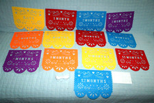 Mexican fiesta 1st Birthday Photo Banner Papel Picado Garland New Fast Shipping