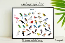 BIRD SET A4 PRINT PICTURE POSTER WALL ART HOME DECOR UNFRAMED NEW GIFT 