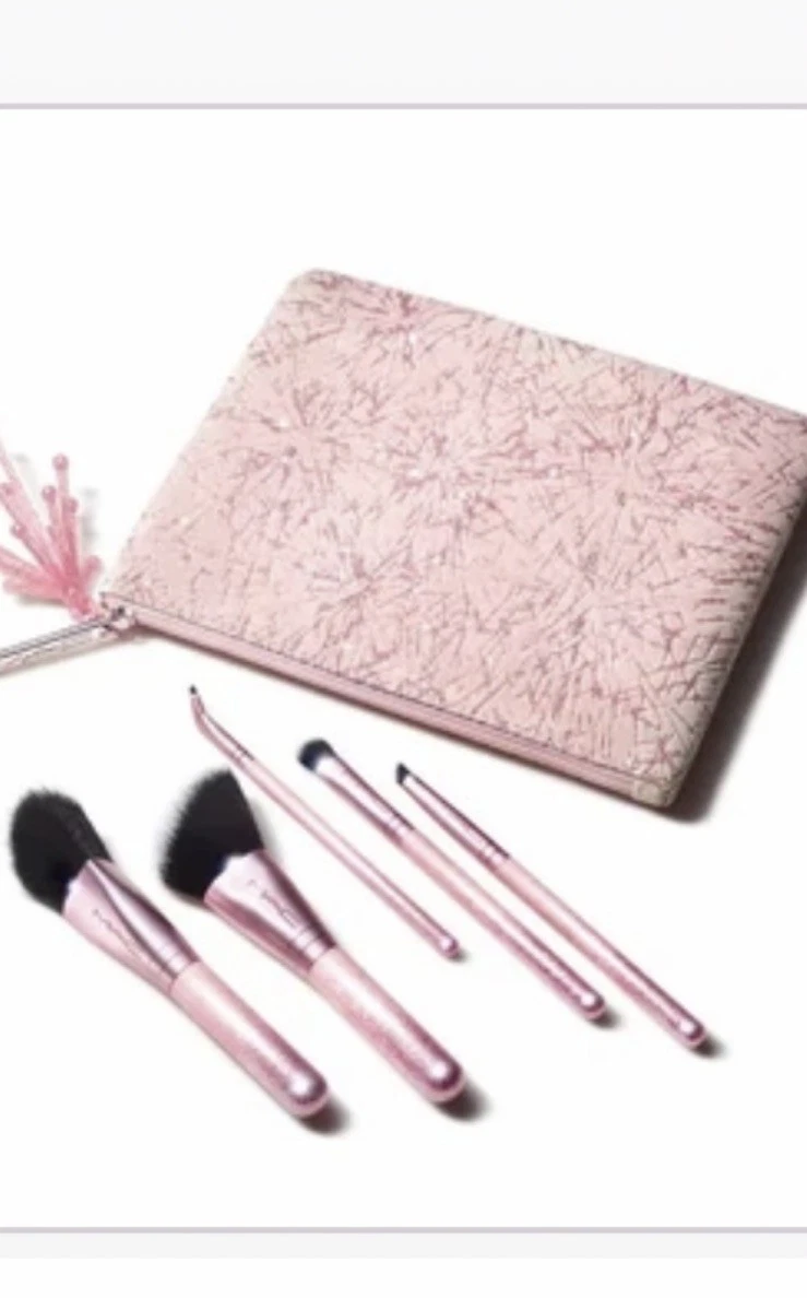 MAC Holiday Limited Edition MAC frosted Fireworks Sparkler STARTER KIT BRUSHES