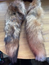 2 X Preserved Fox Brushes. One White Tipped, One Black Tipped.