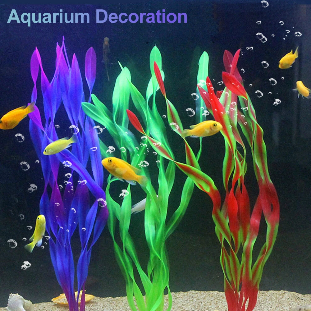 positie Il Brawl 60cm Height Simulated Aquarium Plant Artificial Underwater Grass Fish Tank Decor | eBay positie Il Brawl 60cm Height Simulated Aquarium Plant Artificial Underwater Grass Fish Tank Decor | eBay