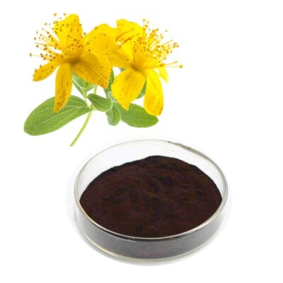 St John's Wort Extract Powder - Mood Support 1lb