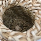 Bild 4 von 11
