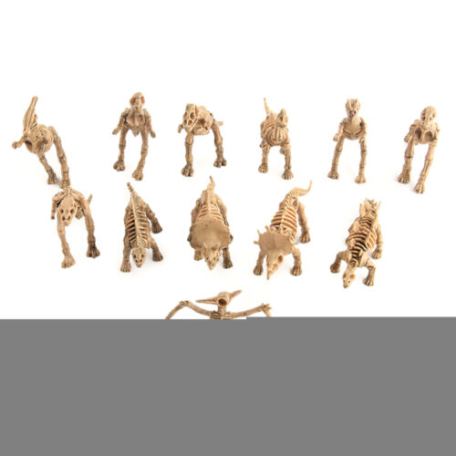 12pcs Dinosaur Toys Fossil Skeleton Simulation Model Action Figure Toy Gift b