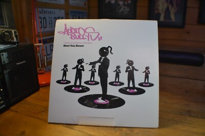 Audio Bullys Feat Nancy Sinatra - Shot You Down 12'' Vinyl Electro Tech House VGC