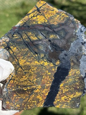 RARE Large 0.58LB Ocean Breeze Jasper AKA '' Gold Leaf Jasper ''