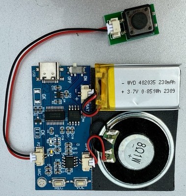 XLW Module Push Button Activated Sound Module with Speaker, Type-C Cab...